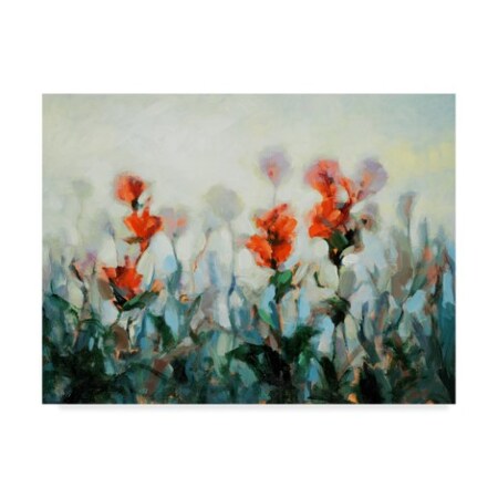 Dag, Inc 'Ode To Monet 3' Canvas Art,18x24